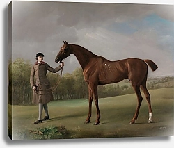 Постер Стаббс Джордж Люстра, которую держит жених