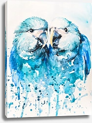 Постер Голубые попугайчики, акварель