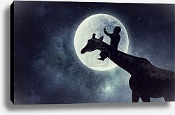 Постер Ночная сказка