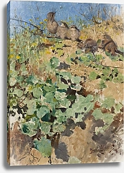 Постер Лильефорс Бруно Птенцы красноспинного сорокопута