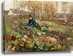 Постер Хагемайстер Карл Bäuerin im Rübenfeld