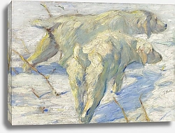 Постер Марк Франц (Marc Franz) Siberian Dogs in the Snow