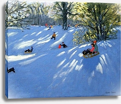 Постер Макара Эндрю (совр) Early snow, Darley Park, Derby