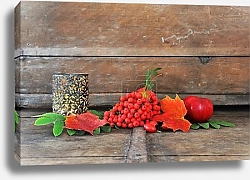 Постер Австрия. Тироль 3