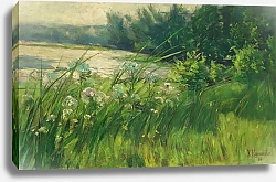 Постер Хагемайстер Карл Kemnitzer Heide