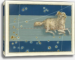 Постер Байер Иоганн Aries