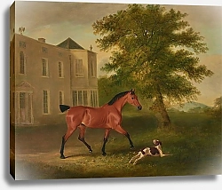 Постер Фернли Джон Гнедая лошадь и гончая неподалеку от поместья Хамвуд, Колорадо. Уиклоу