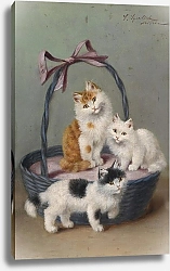 Постер Сперлих Софи Кошки В Корзине