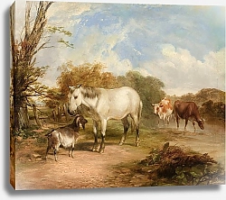 Постер Купер Томас Сидни Пасторальная сцена с лошадью