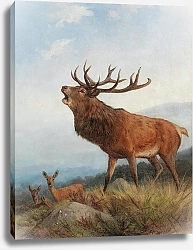 Постер Дейкер Карл Ревущий олень