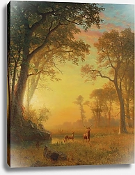 Постер Бирштад Альберт Свет В Лесу