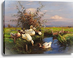 Постер Кестер Александр Семь уток в канаве