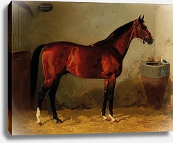 Постер Волкерс Эмиль Чамант от Мортимера-Араукария