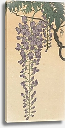 Постер Косон Охара Flowering wisteria