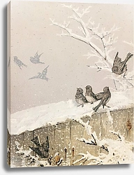 Постер Бриджес Фиделия January II