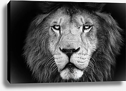 Постер Лев 11