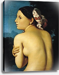 Постер Ингрес Джин Female nude, 1807