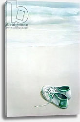 Постер Селигман Линкольн (совр) Gym Shoes on Beach