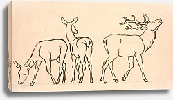 Постер Сковгаард П. С. Кронхьорте-ог-хинде