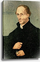 Постер Кранах Лукас Старший Portrait of Philipp Melanchthon, 1532