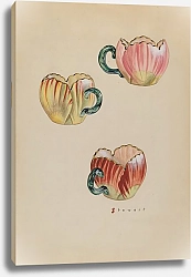 Постер Стюарт Роберт Tulip Cups