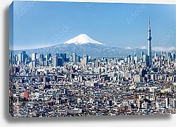 Постер Япония, Токио. Tokyo Skyline and Mount Fuji