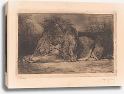 Постер Хайнс Арманд Liggende leeuw