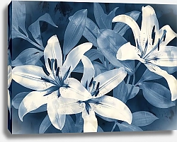 Постер Midnight contrasts of lilies