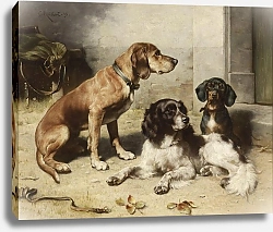 Постер Райхерт Карл После Охоты