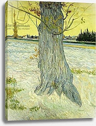 Постер Ван Гог Винсент (Vincent Van Gogh) The Old Tree; Le Vieil If, 1888