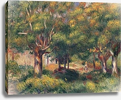 Постер Ренуар Пьер (Pierre-Auguste Renoir) Woodland Landscape