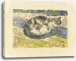 Постер Мигем Юджин Ван Kat liggend op plankenvloer