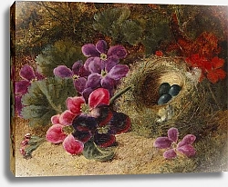 Постер Клер Оливер A Bird's Nest and Geraniums