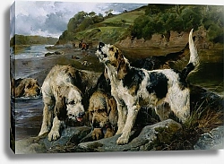 Постер Нобл Джон Охота на выдру