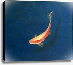 Постер Селигман Линкольн (совр) Goldfish