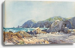 Постер Уолш Альфред Побережье Кайкоуры