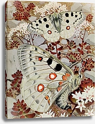 Постер Робер Поль-Андре Л'Аполлон