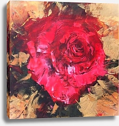 Постер Красная роза