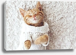 Постер Зимний котенок №1