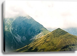 Постер Зеленые склоны швейцарских альп