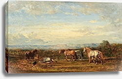 Постер Зием Феликс Камаргские Лошади