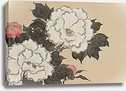 Постер Секка Камисака Пионы