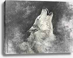 Постер Воющий белый волк, портрет