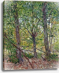 Постер Ван Гог Винсент (Vincent Van Gogh) Деревья и подлесок