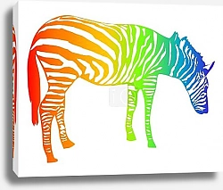 Постер Цветастая зебра