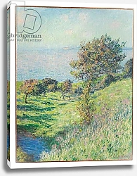Постер Моне Клод (Claude Monet) Coup de vent, 1881
