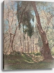 Постер Брукман  Генри Oliviers à Menton