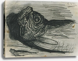 Постер Мигем Юджин Ван Hoofd van vis met daarnaast een ander klein visje.