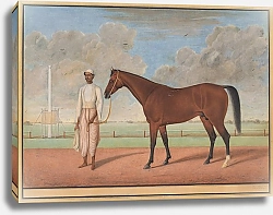 Постер Неизвестен A Bay Racehorse with a Groom