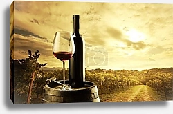 Постер Виноградники на закате